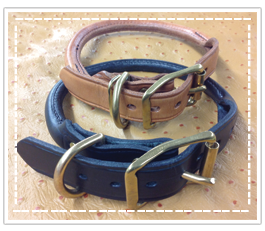 Traditional Rolled Collars and Martingale Collar