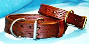 Wide Leather Aggression Collar