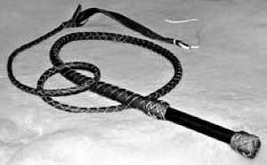 Bull Whip